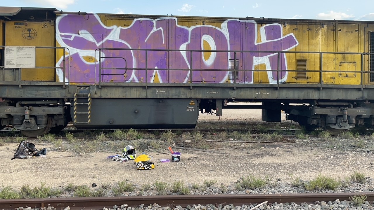 grafitis realizados en dos vagones de un tren