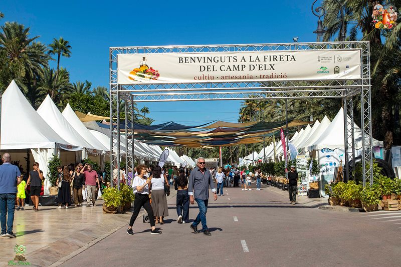 Fireta del Camp d’Elx 2026